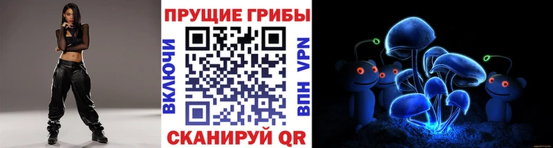 дарнет шоп  Тюкалинск  Галлюциногенные грибы Psilocybine cubensis 